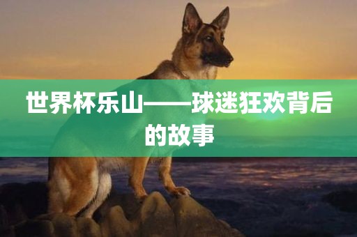 世界杯乐山——球迷狂欢背后的故事