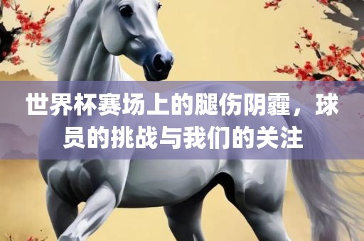 世界杯赛场上的腿伤阴霾，球员的挑战与我们的关注