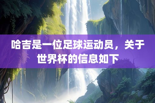 哈吉是一位足球运动员，关于世界杯的信息如下