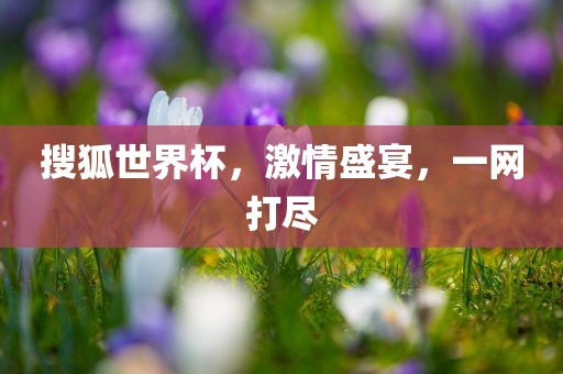 搜狐世界杯，激情盛宴，一网打尽