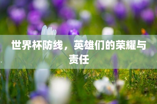 世界杯防线，英雄们的荣耀与责任