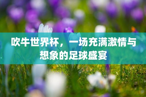 吹牛世界杯，一场充满激情与想象的足球盛宴