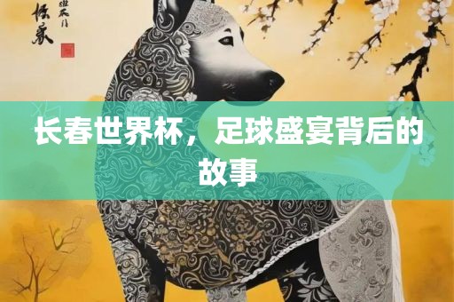 长春世界杯，足球盛宴背后的故事