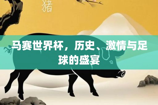 马赛世界杯，历史、激情与足球的盛宴