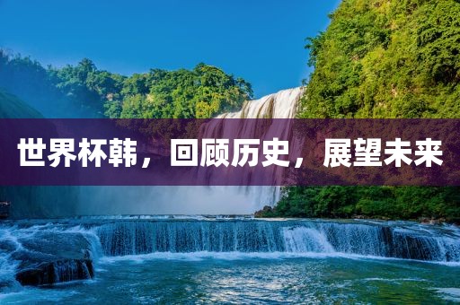 世界杯韩，回顾历史，展望未来