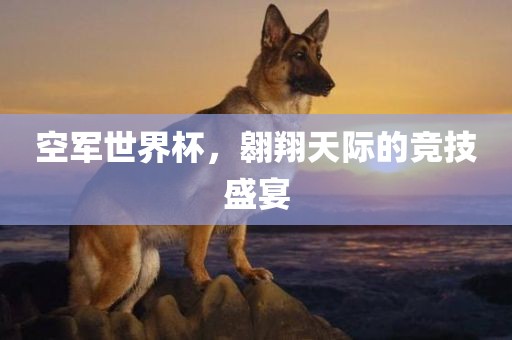 空军世界杯，翱翔天际的竞技盛宴