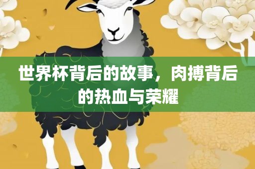 世界杯背后的故事，肉搏背后的热血与荣耀