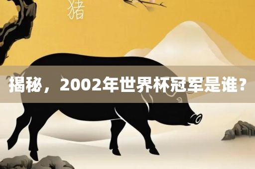 揭秘，2002年世界杯冠军是谁？吉安市靖泰电力工程有限公司