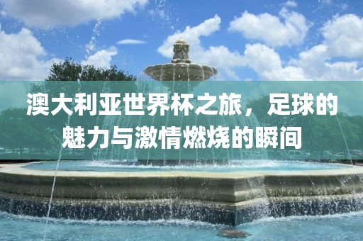 澳大利亚世界杯之旅，足球的魅力与激情燃烧的瞬间