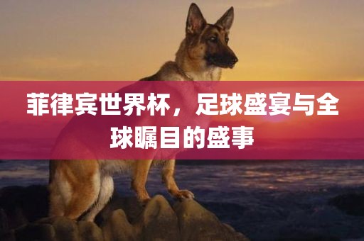 菲律宾世界杯，足球盛宴与全球瞩目的盛事