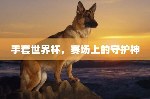 手套世界杯，赛场上的守护神