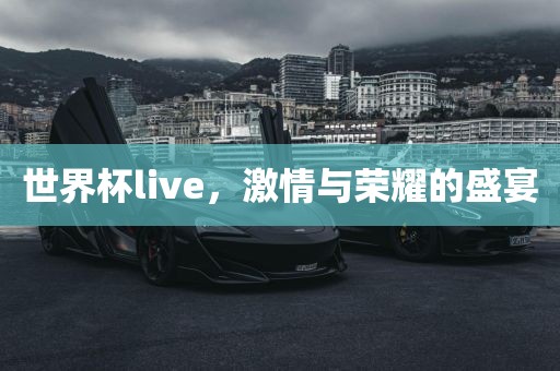 世界杯live，激情与荣耀的盛宴