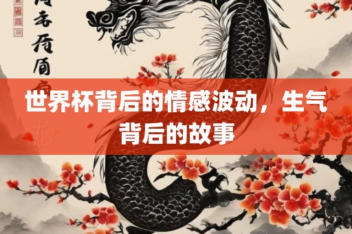世界杯背后的情感波动，生气背后的故事