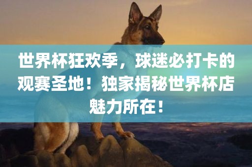 世界杯狂欢季，球迷必打卡的观赛圣地！独家揭秘世界杯店魅力所在！