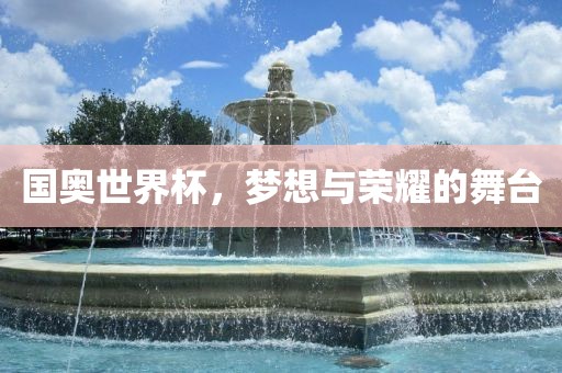 国奥世界杯，梦想与荣耀的舞台