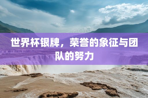 世界杯银牌，荣誉的象征与团队的努力