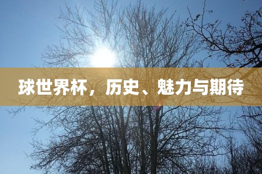 球世界杯，历史、魅力与期待