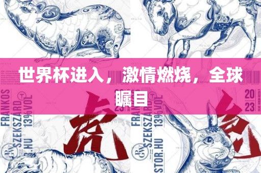 世界杯进入，激情燃烧，全球瞩目