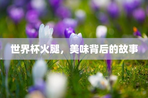 世界杯火腿，美味背后的故事