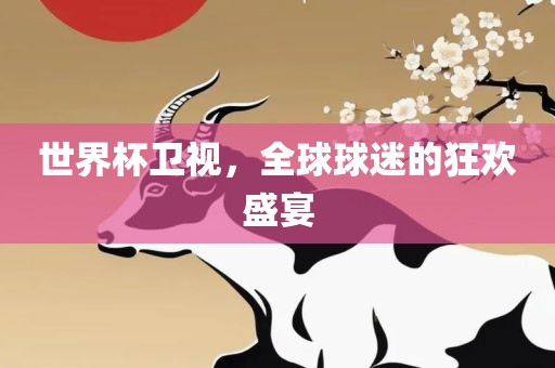 世界杯卫视，全球球迷的狂欢盛宴