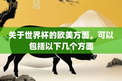 关于世界杯的欧美方面，可以包括以下几个方面