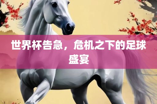 世界杯告急，危机之下的足球盛宴