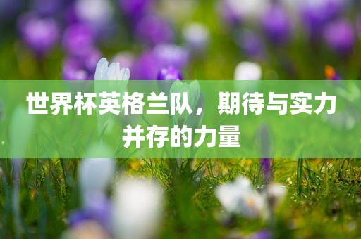 世界杯英格兰队，期待与实力并存的力量