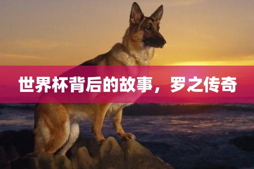 世界杯背后的故事，罗之传奇