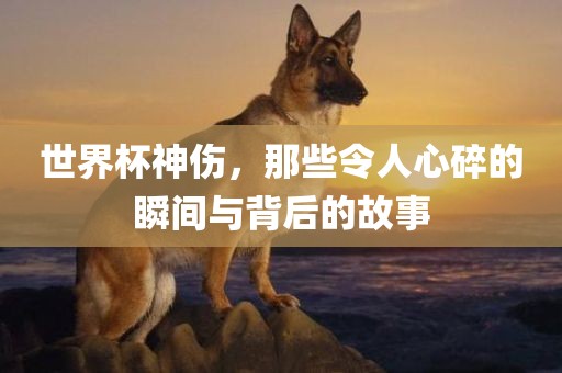 世界杯神伤，那些令人心碎的瞬间与背后的故事