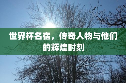 世界杯名宿，传奇人物与他们的辉煌时刻