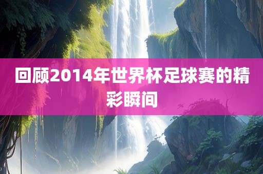 回顾2014年世界杯足球赛的精彩瞬间吉安市靖泰电力工程有限公司