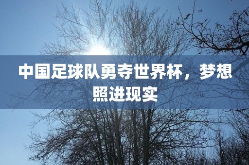 中国足球队勇夺世界杯，梦想照进现实