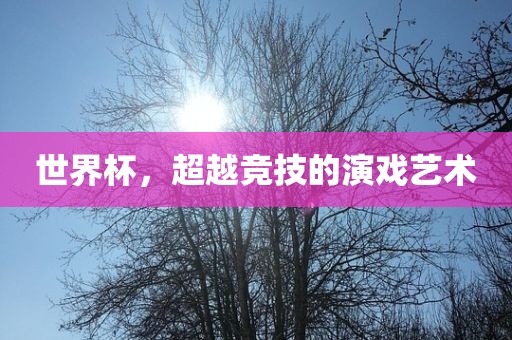 世界杯，超越竞技的演戏艺术