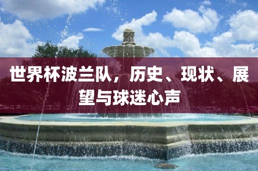 世界杯波兰队，历史、现状、展望与球迷心声