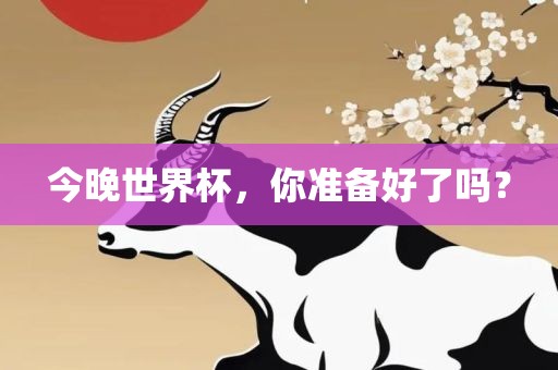 今晚世界杯，你准备好了吗？