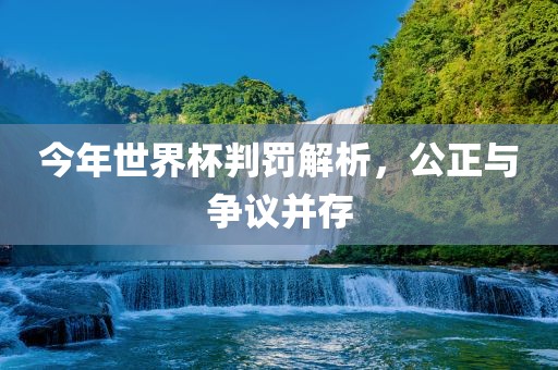 今年世界杯判罚解析，公正与争议并存