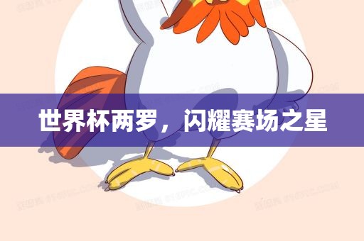 世界杯两罗，闪耀赛场之星