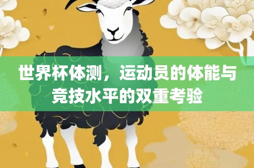世界杯体测，运动员的体能与竞技水平的双重考验
