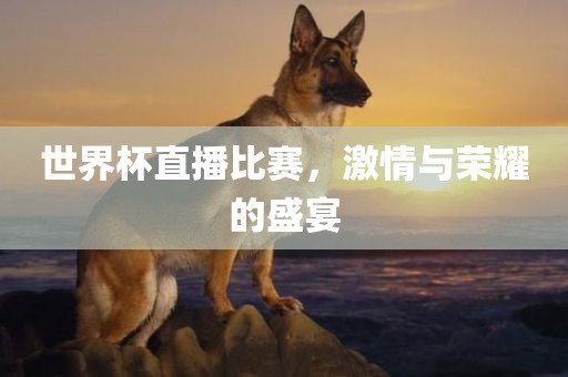世界杯直播比赛，激情与荣耀的盛宴