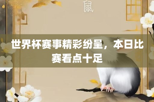 世界杯赛事精彩纷呈，本日比赛看点十足