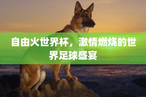 自由火世界杯，激情燃烧的世界足球盛宴
