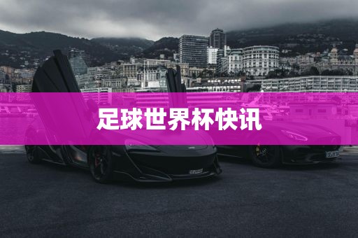 足球世界杯快讯