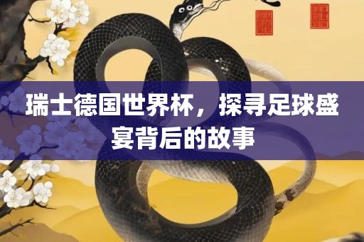 瑞士德国世界杯，探寻足球盛宴背后的故事