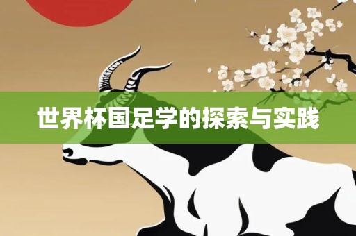 世界杯国足学的探索与实践