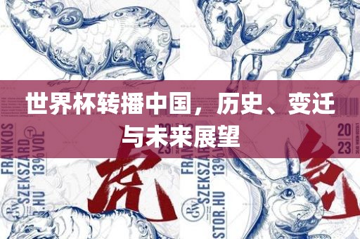 世界杯转播中国，历史、变迁与未来展望