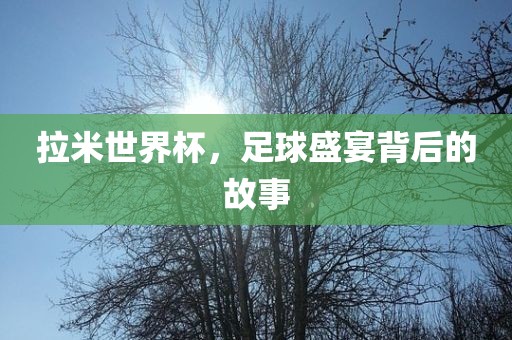 拉米世界杯，足球盛宴背后的故事