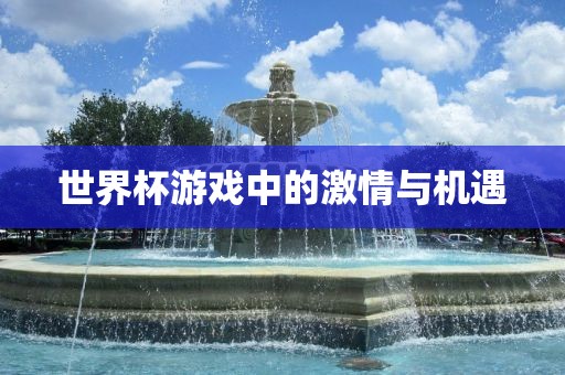 世界杯游戏中的激情与机遇