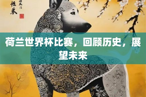 荷兰世界杯比赛，回顾历史，展望未来