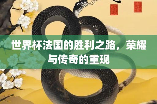 世界杯法国的胜利之路，荣耀与传奇的重现