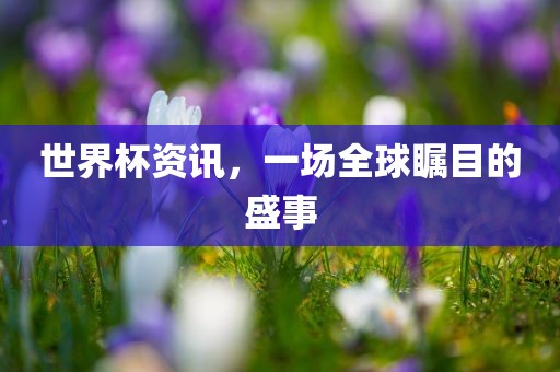世界杯资讯，一场全球瞩目的盛事